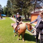 phoca_thumb_m_ponk 95 Fotogalerie